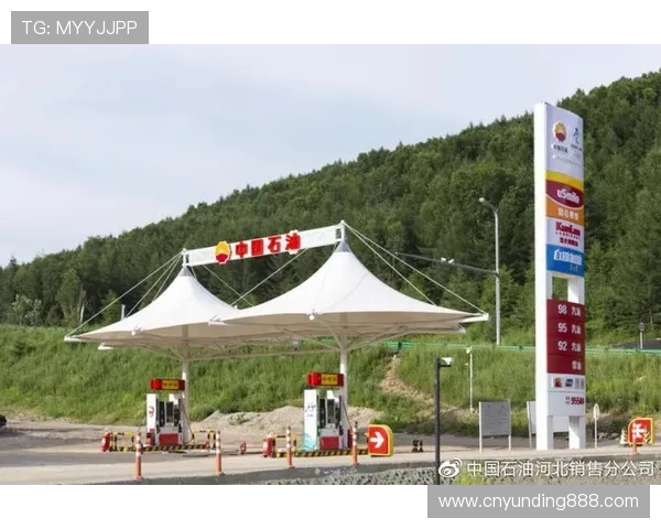 云顶国际地址最新入口，安全便捷的官方网站导航指南