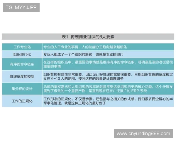 云顶公司取名过程中常见的误区及避免方法详解