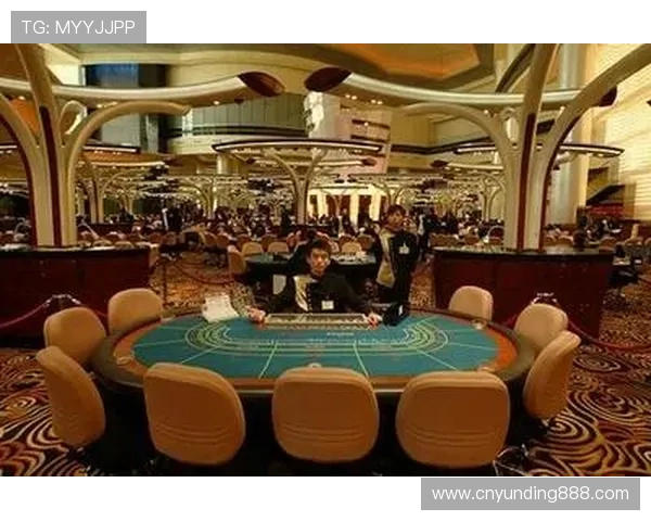 云顶赌场网址官方入口全面解析，提供最全的登录指南与最新优惠活动信息