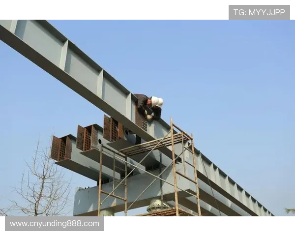 开元app官网下载流程详解，确保每一步都安全顺利，避免下载风险