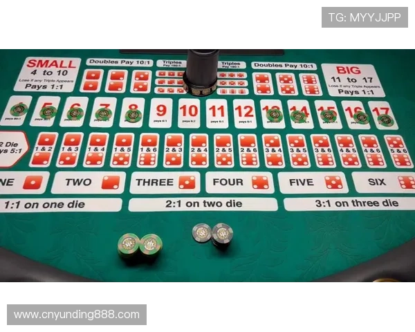 澳门骰宝赔率与游戏策略：提升胜率的实用建议与风险控制技巧