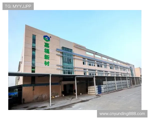 选择云顶集团官网登录入口4008，开启安全顺畅的线上娱乐新体验