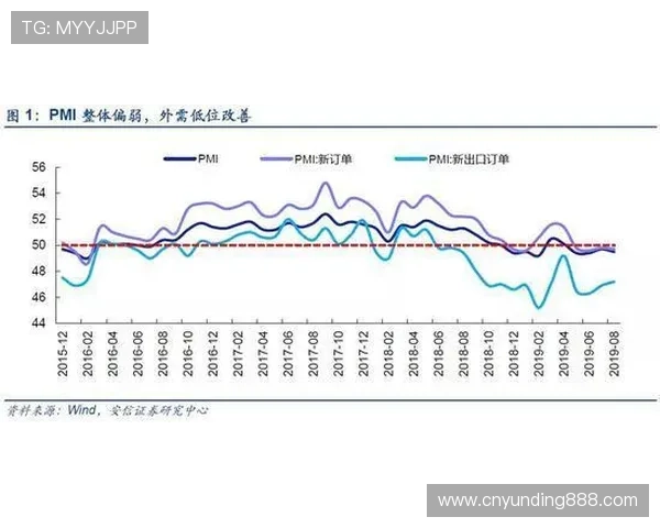 金花牛牛三公的历史发展与未来趋势，了解行业动态把握先机